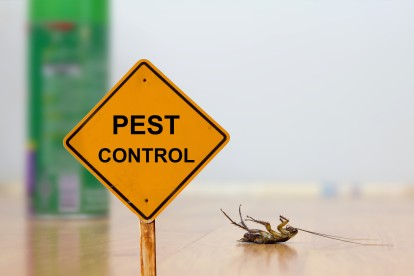 Pest Contol in Kingston upon Thames, KT1. Call Now 020 8166 9746