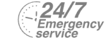 24/7 Emergency Service Pest Control in Kingston upon Thames, KT1. Call Now! 020 8166 9746